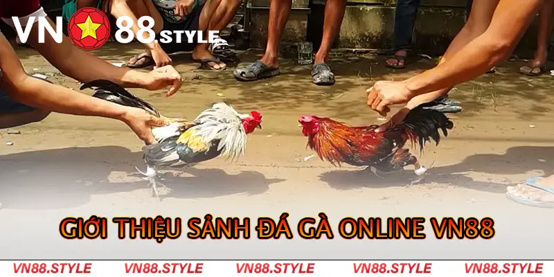 Giới thiệu sảnh đá gà online vn88